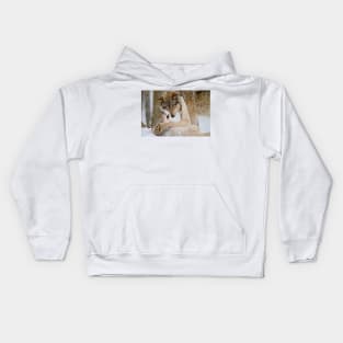 Gray Wolves Kids Hoodie